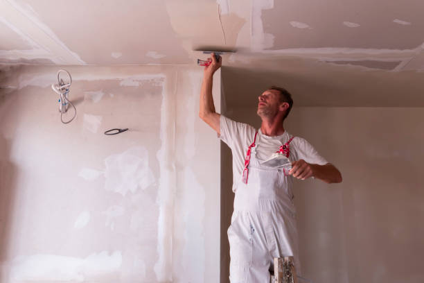 Best Drywall Installation  in Fair Oaks, CA